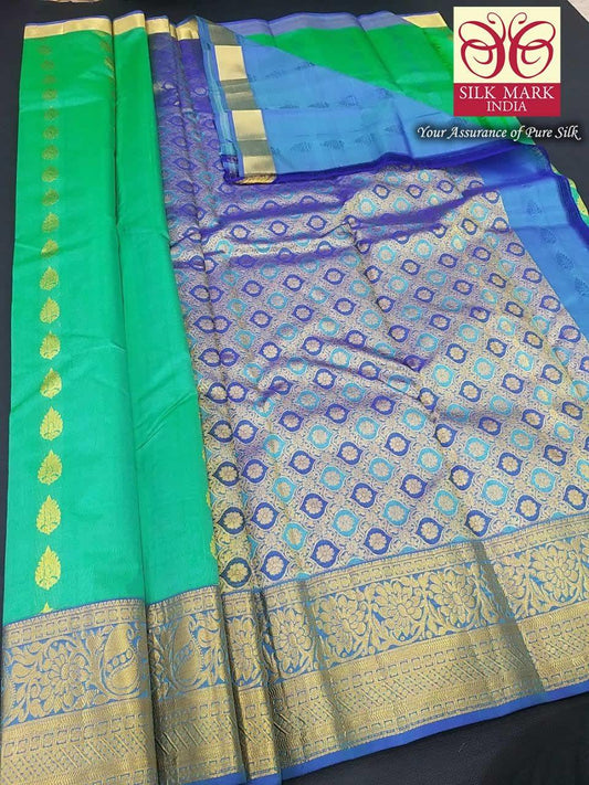 GAURI-2
